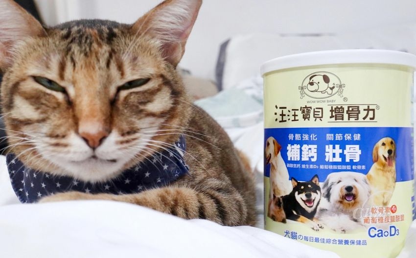 貓營養品推薦_汪汪寶貝_5619_结果.jpg