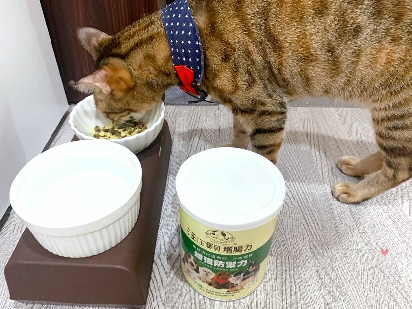 貓營養品推薦_汪汪寶貝_5616_结果.jpg