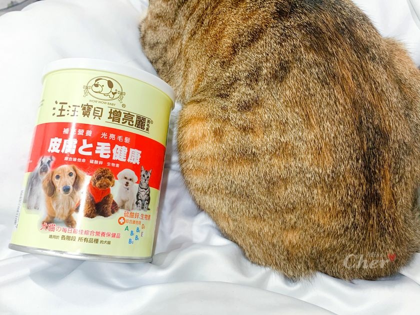 貓營養品推薦_汪汪寶貝_5608_结果.jpg