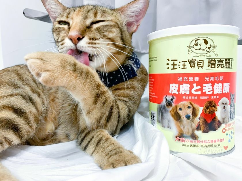 貓營養品推薦_汪汪寶貝_5638_结果.jpg