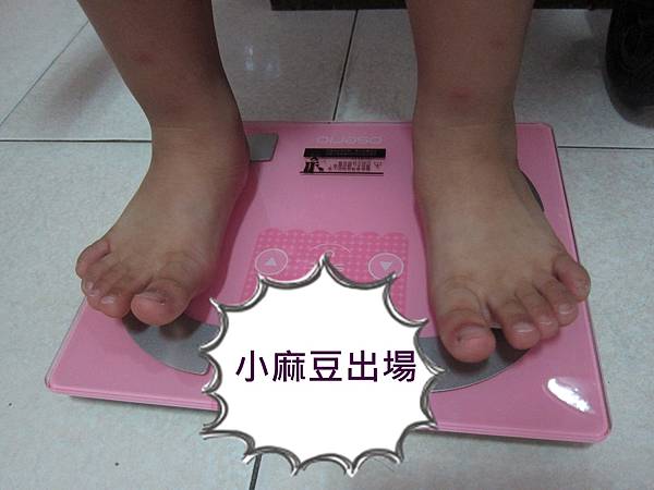 12.jpg 試用