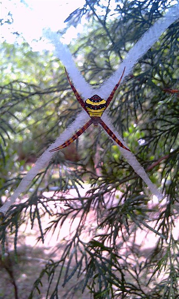 X-spider.jpg X-spider.jpg