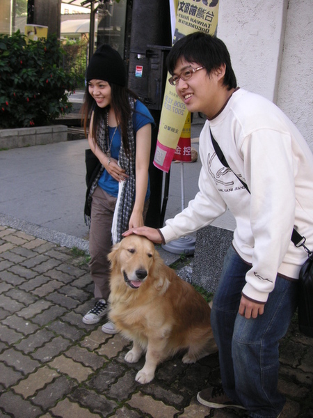 還有大隻黃金獵犬