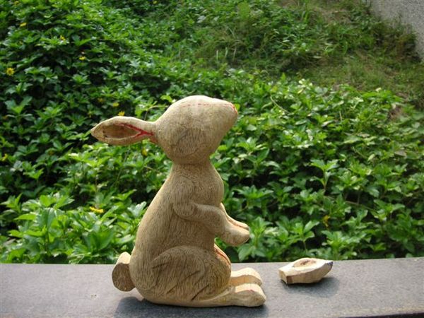 PICT0100.JPG