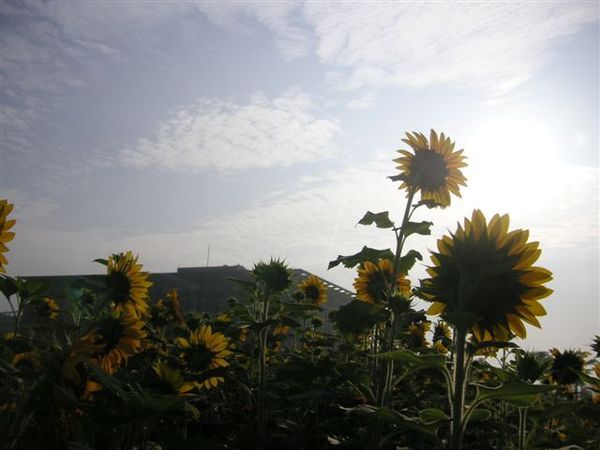 PICT0199.JPG