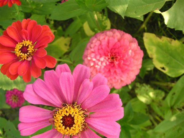 PICT0200.JPG