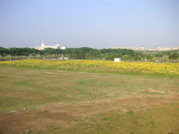PICT0215.JPG