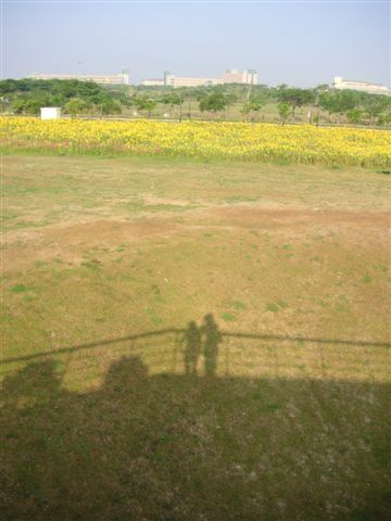 PICT0217.JPG