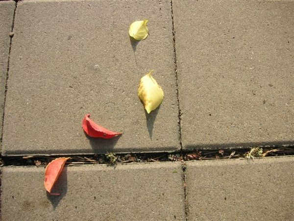 PICT0224.JPG
