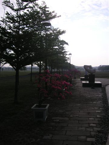 PICT0230.JPG
