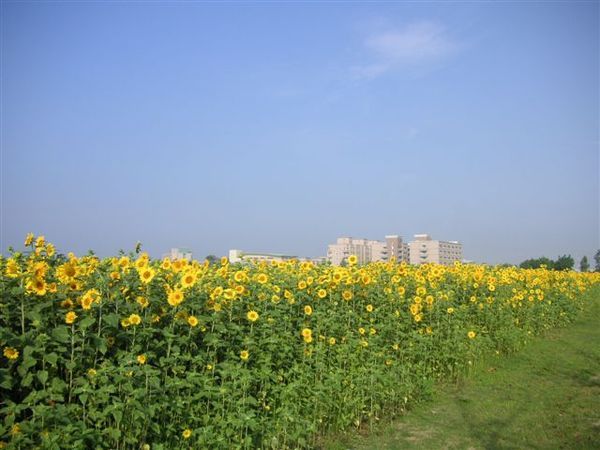 PICT0247.JPG
