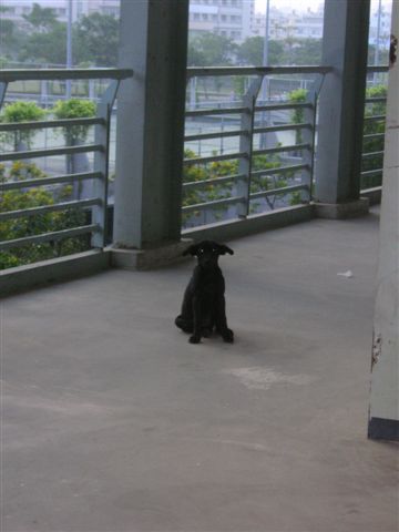 PICT0140.JPG