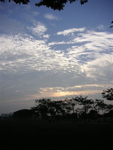 PICT0145.JPG