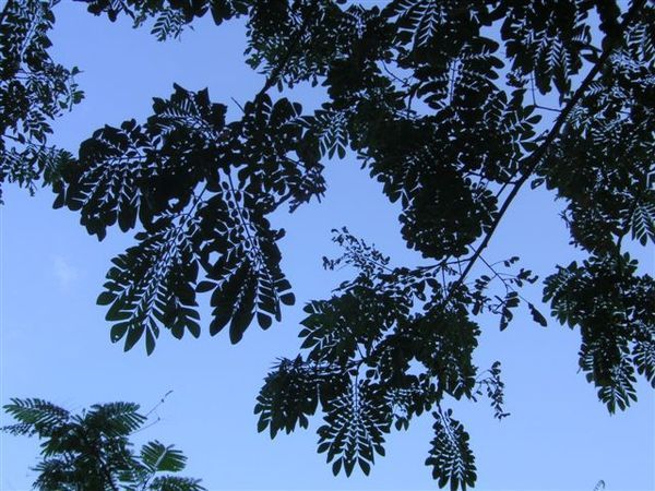 PICT0150.JPG