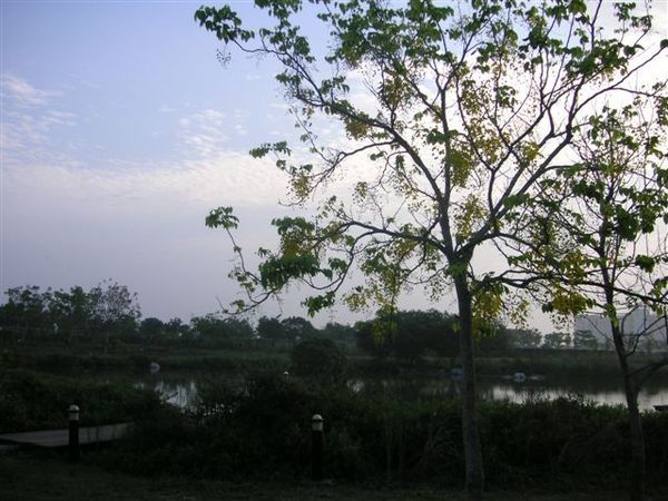 PICT0154.JPG