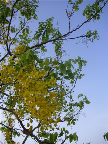 PICT0157.JPG