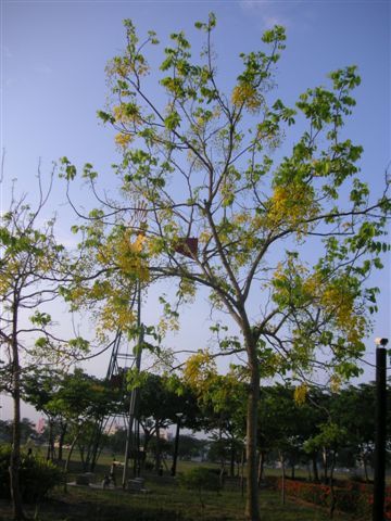 PICT0163.JPG