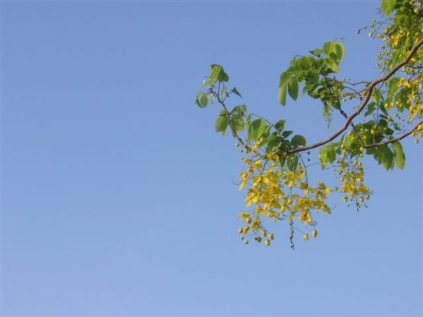 PICT0165.JPG