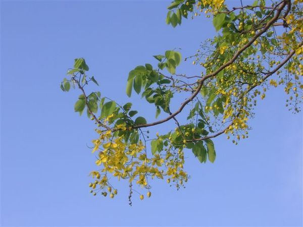 PICT0166.JPG