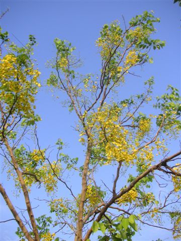 PICT0168.JPG
