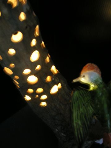 PICT0285.JPG