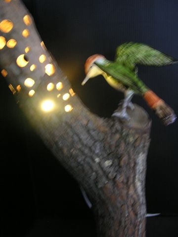 PICT0294.JPG