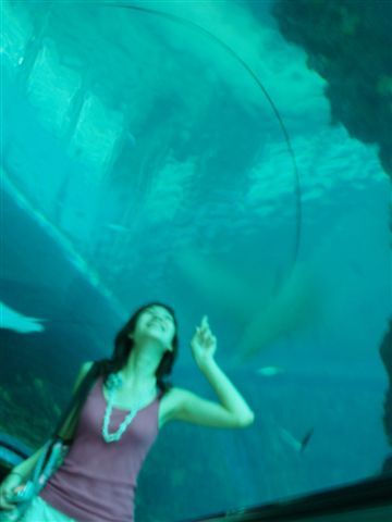 P1010044.JPG