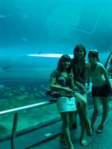 P1010050.JPG