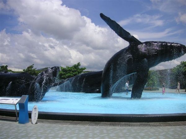 PICT0042.JPG