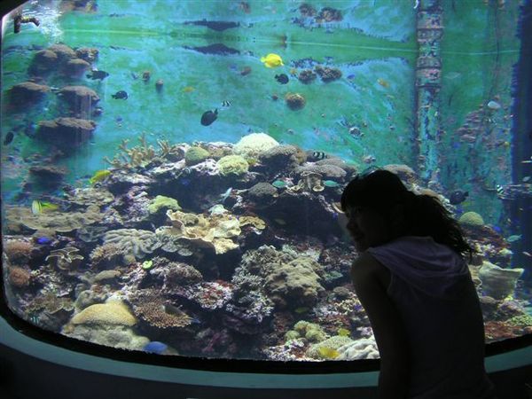 PICT0046.JPG