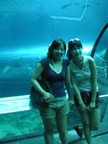PICT0056.jpg