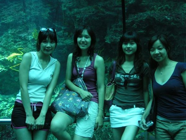 PICT0061.JPG