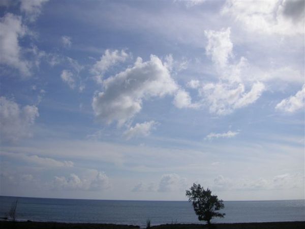 PICT0072.JPG