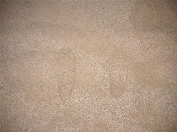 PICT0111.JPG