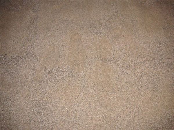 PICT0114.JPG