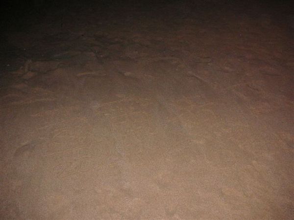 PICT0118.JPG
