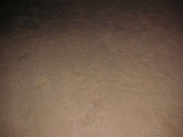 PICT0119.JPG