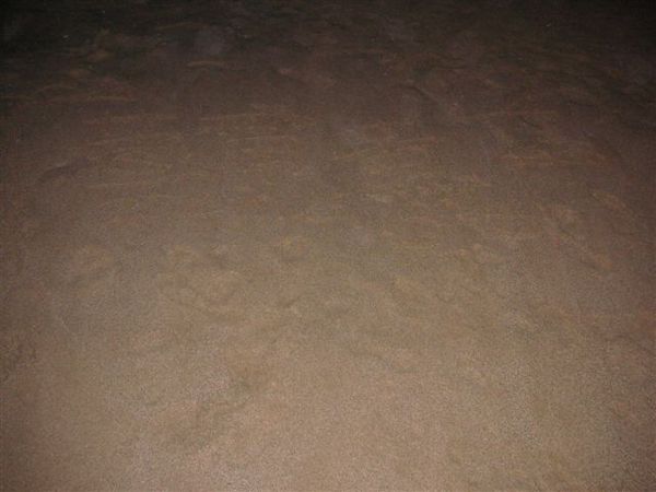 PICT0120.JPG