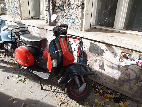 PA294930.JPG