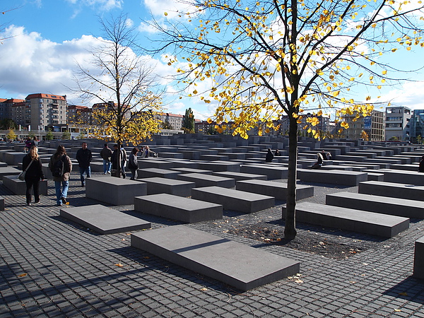 PA264616.JPG