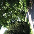 歐洲議會附近的大公園