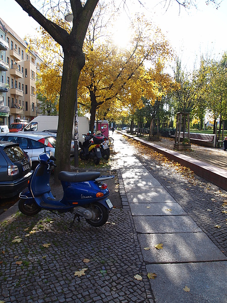 PA264506.JPG