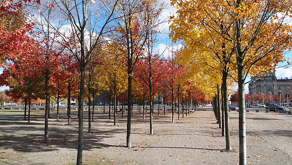 PA264613.JPG