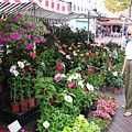 PICT0112.JPG
