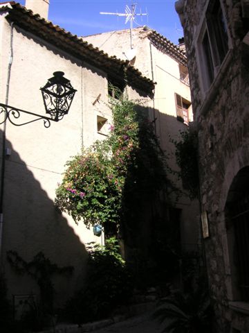 PICT0342.JPG