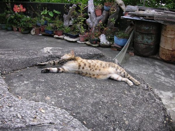 PICT0001.JPG