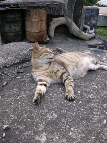 PICT0003.JPG