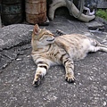 PICT0003.JPG