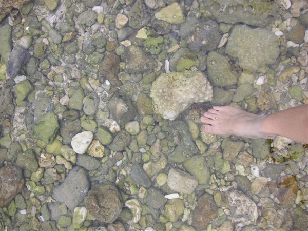 PICT0025.JPG
