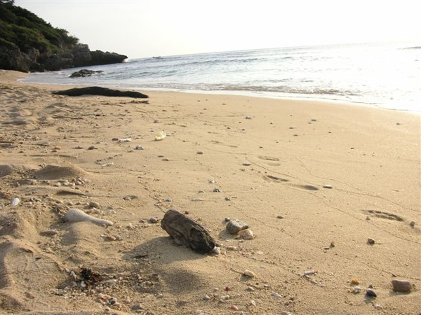 PICT0161.JPG